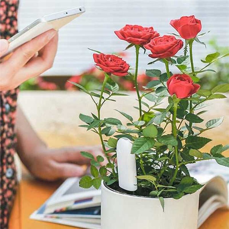 Plant Sensor - ABVG-Flora Monitor Inteligente de Flores, Cuidado