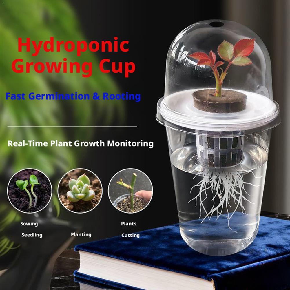 Maceta de Plástico Transparent - Hydroponic Tower reseña y precio