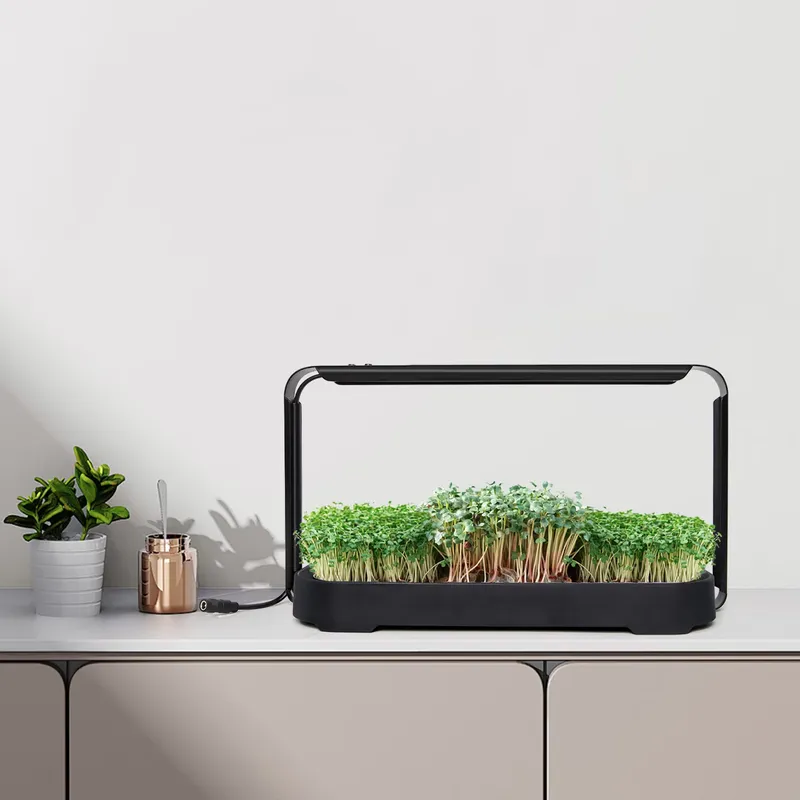 Sistema de Cultivo Hidropónico - Indoor Garden Kit reseña y precio