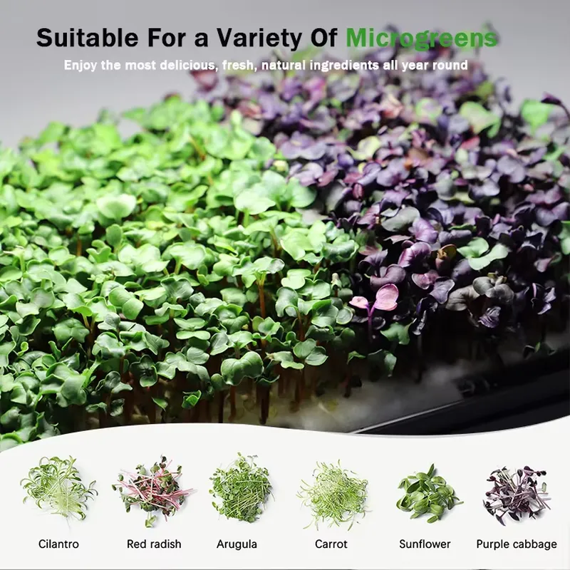 Sistema de Cultivo Hidropónico - Indoor Garden Kit reseña y precio