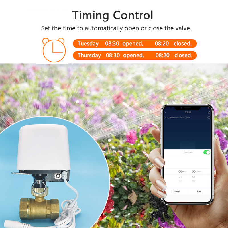 Válvula de agua Tuya Zigbee Wi - Smart Garden Kit reseña y precio