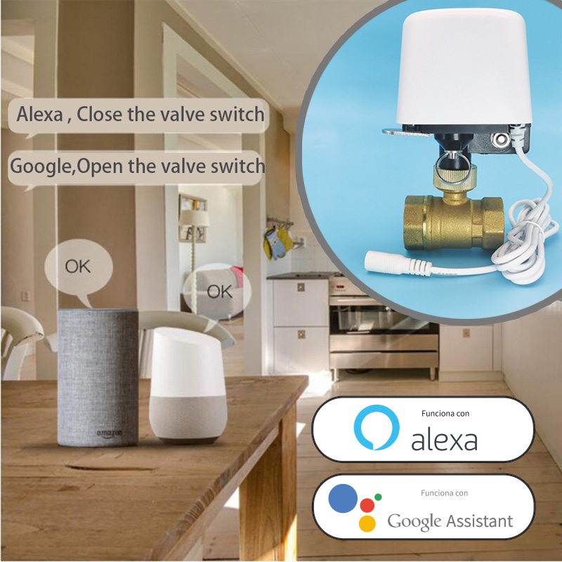 Válvula de agua Tuya Zigbee Wi - Smart Garden Kit reseña y precio