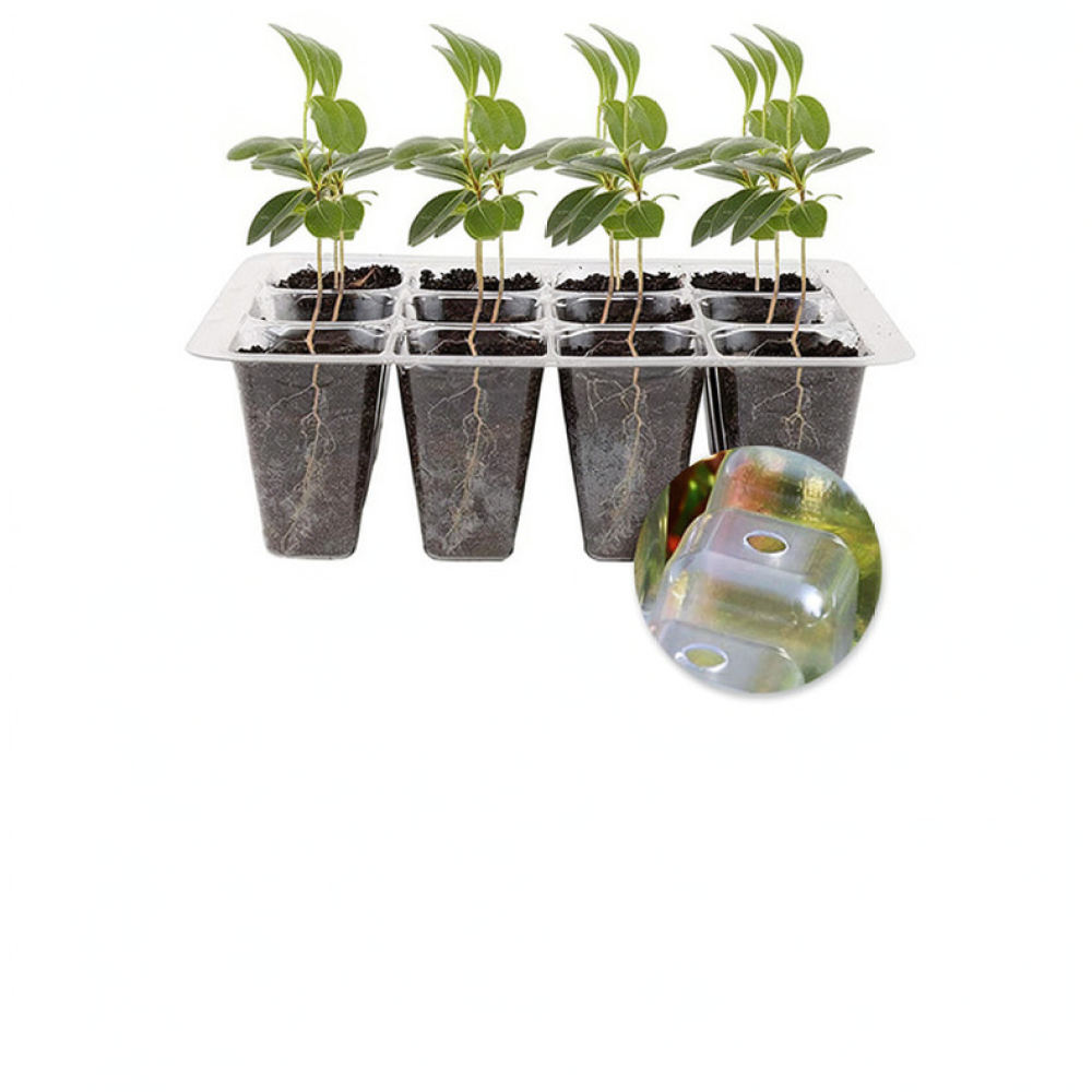 Kit de inicio para el cultivo  - Indoor Garden Kit reseña y precio
