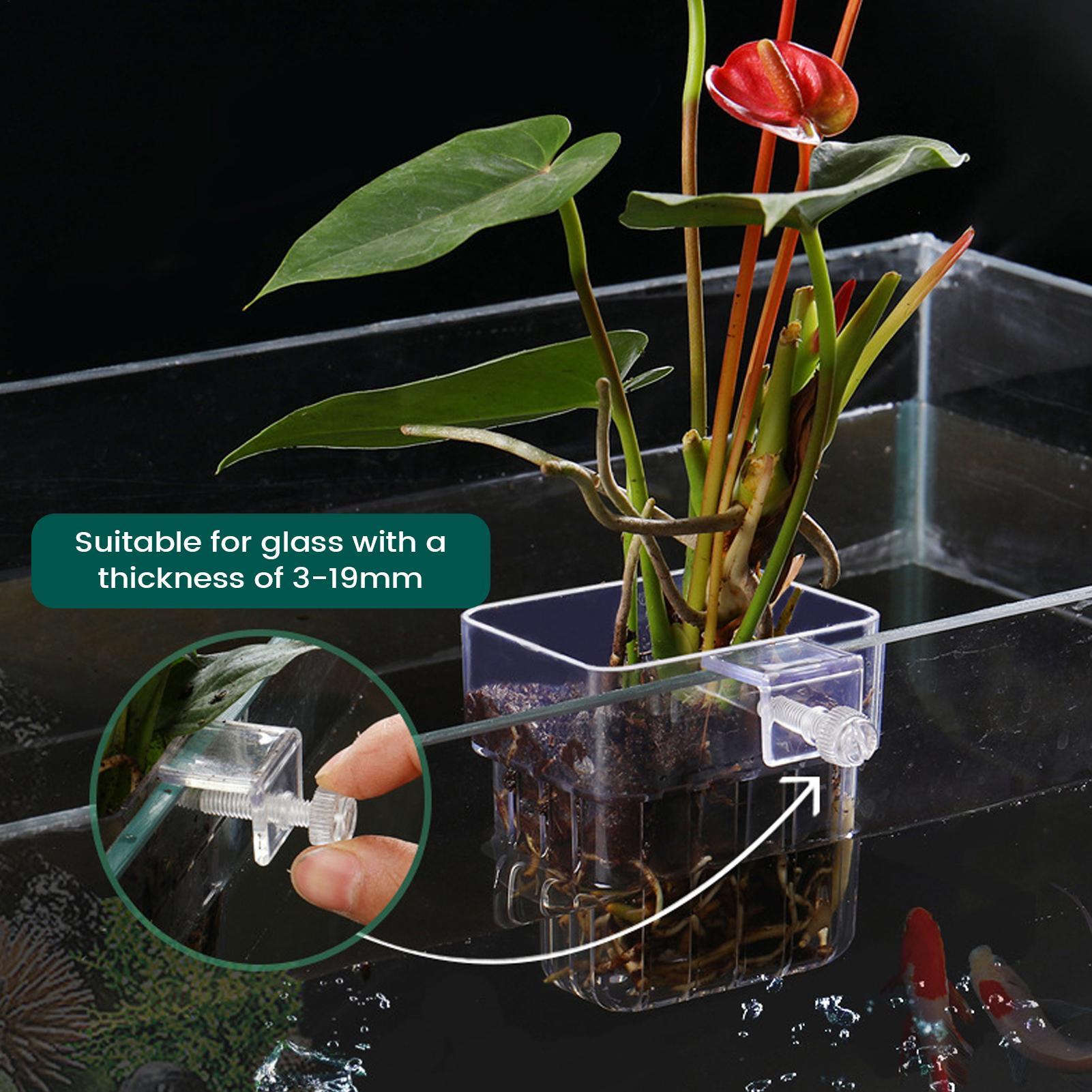 Soporte transparente para plan - Hydroponic Grow Pod reseña y precio
