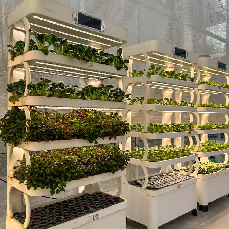 Maceta inteligente para jardín - Smart Garden System reseña y precio
