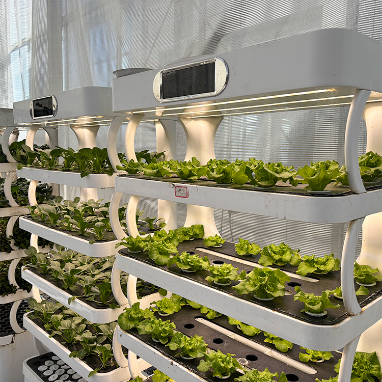 Maceta inteligente para jardín - Smart Garden System reseña y precio